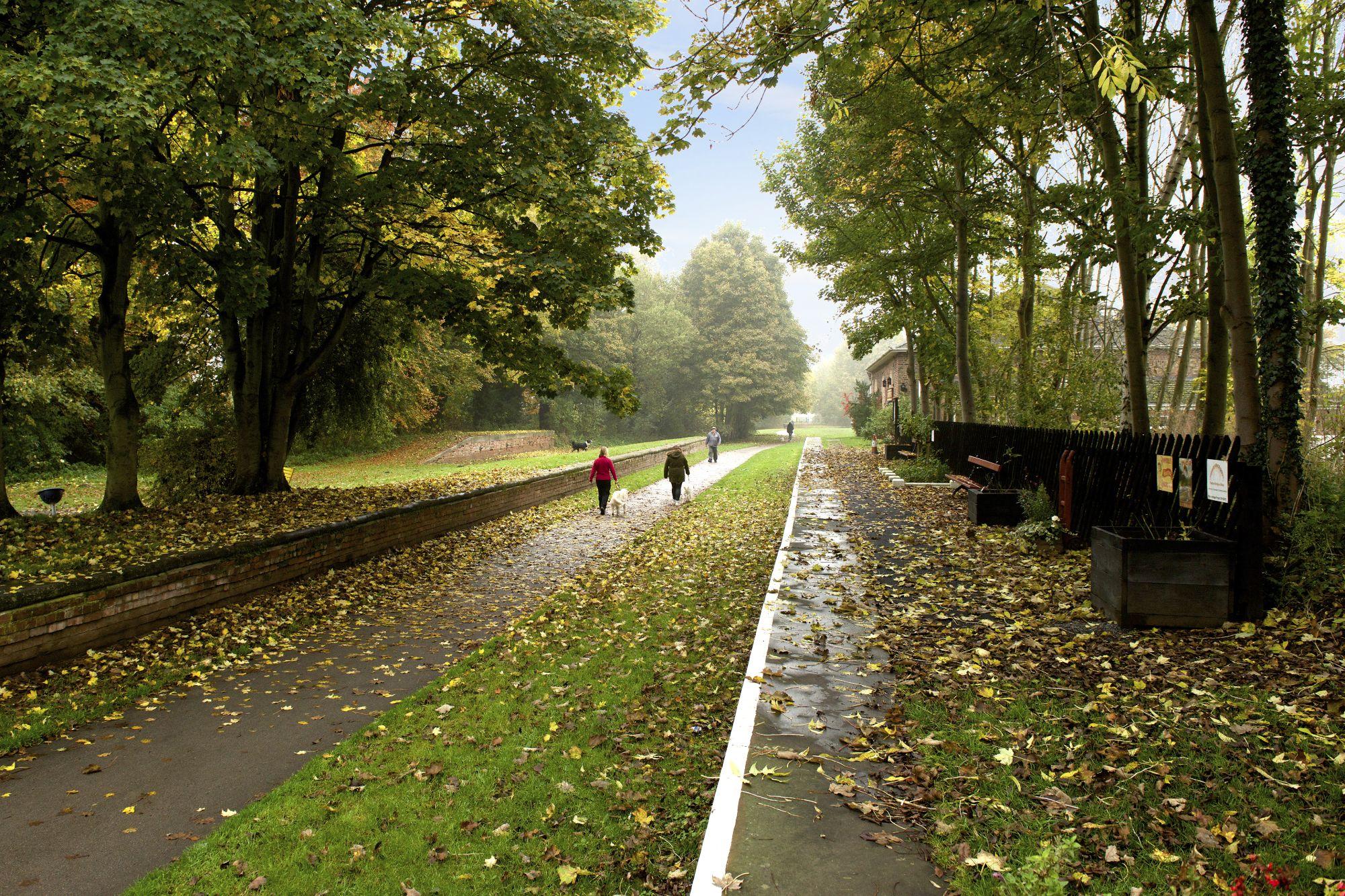 Saxon Gate New Build Houses in Stamford Bridge, York David Wilson Homes