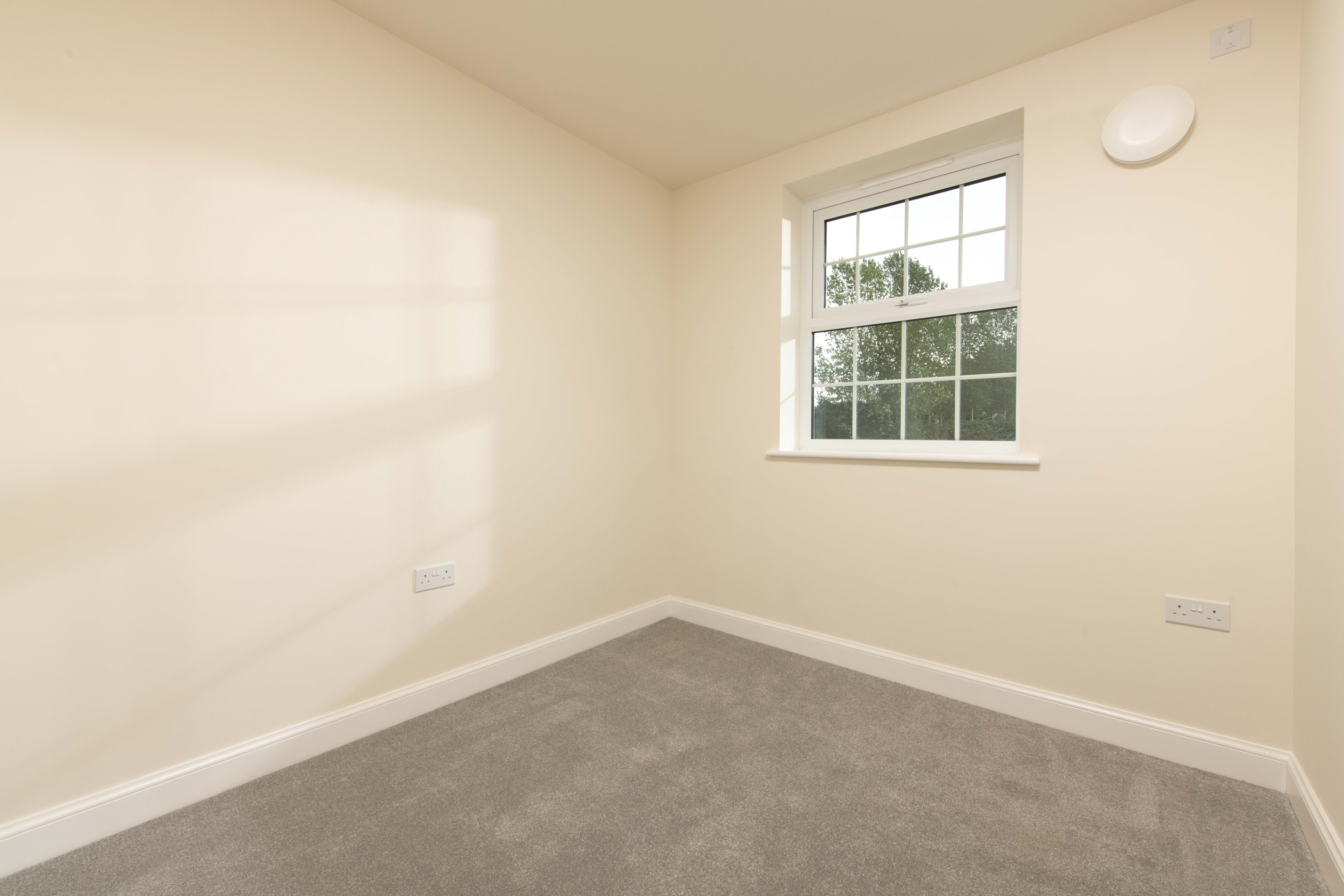 plot 51 home office