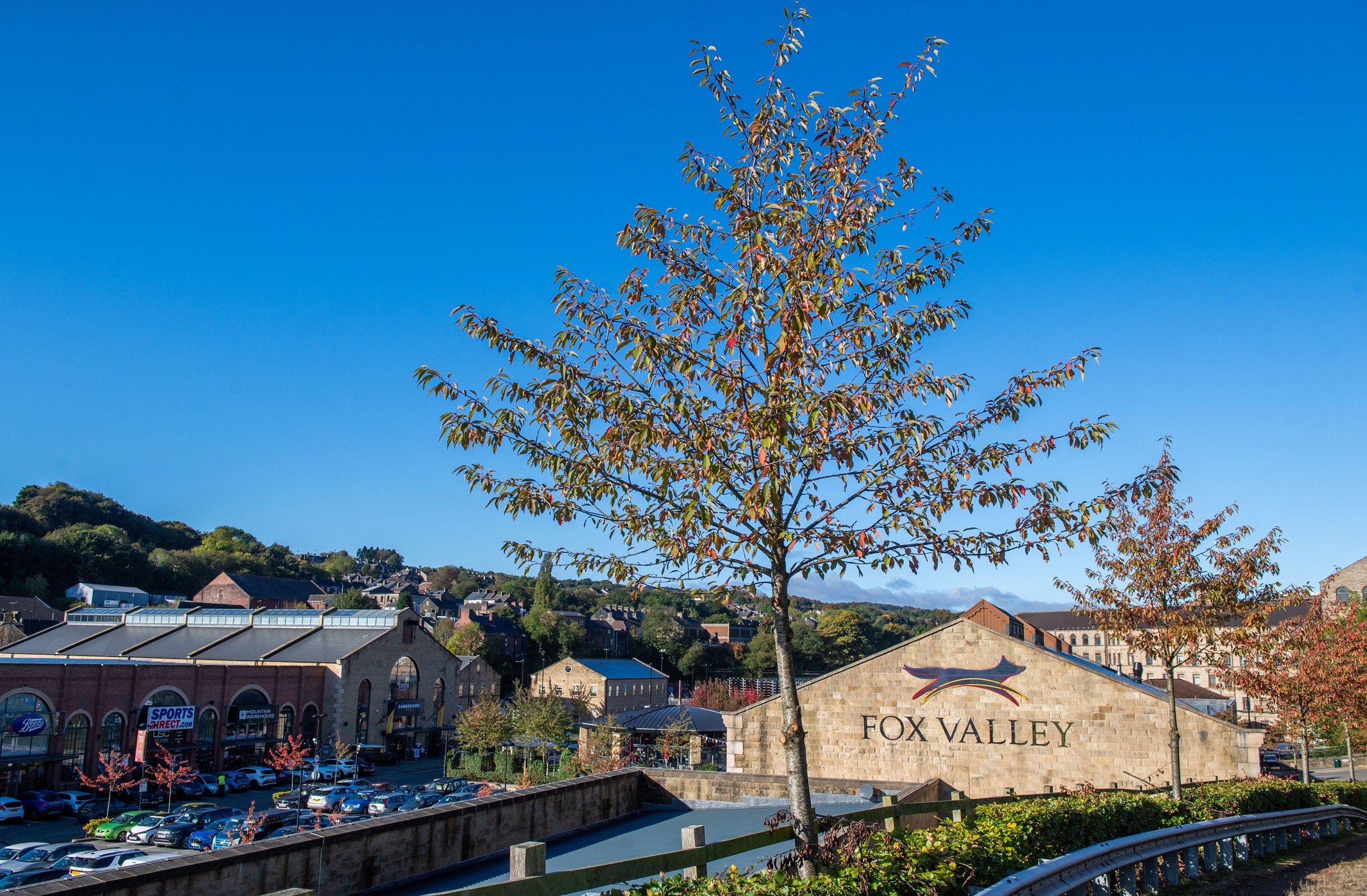 Hollins Park View local area 