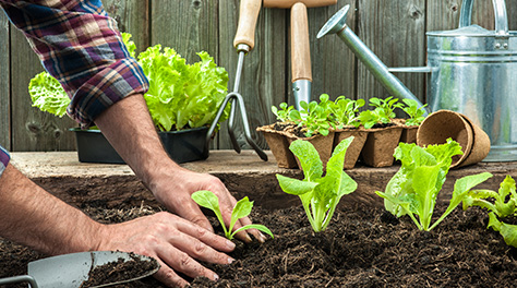 Man planting in soil in garden with trowel and other gardening tools