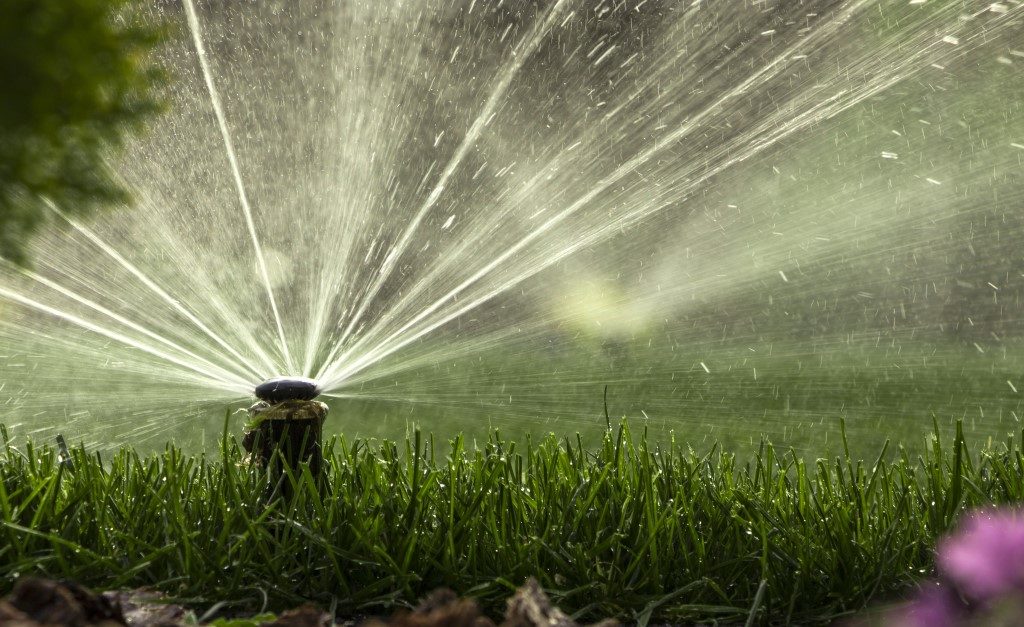 picture of sprinkler spraying across green grass and garden