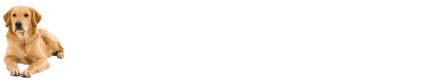 DWH at Romans Quarter
