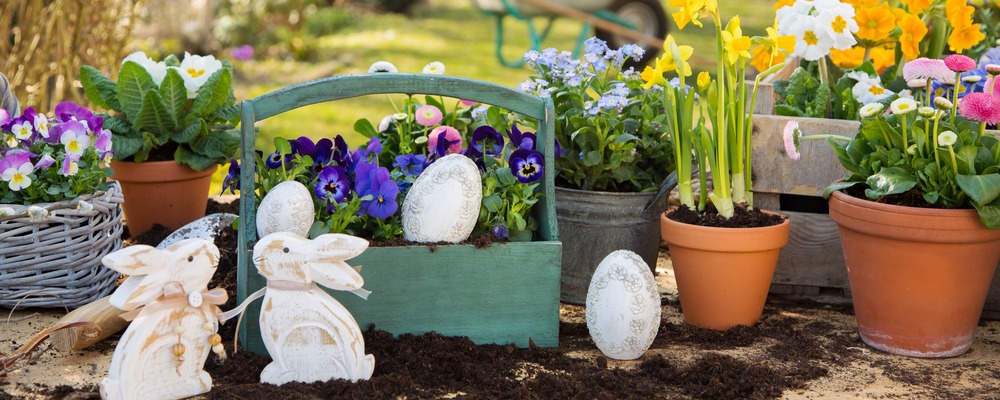 Garden inspiration: Getting your front garden right 