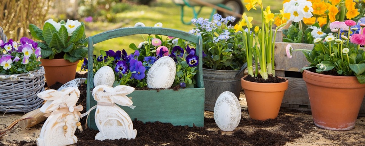 Garden inspiration: Getting your front garden right 
