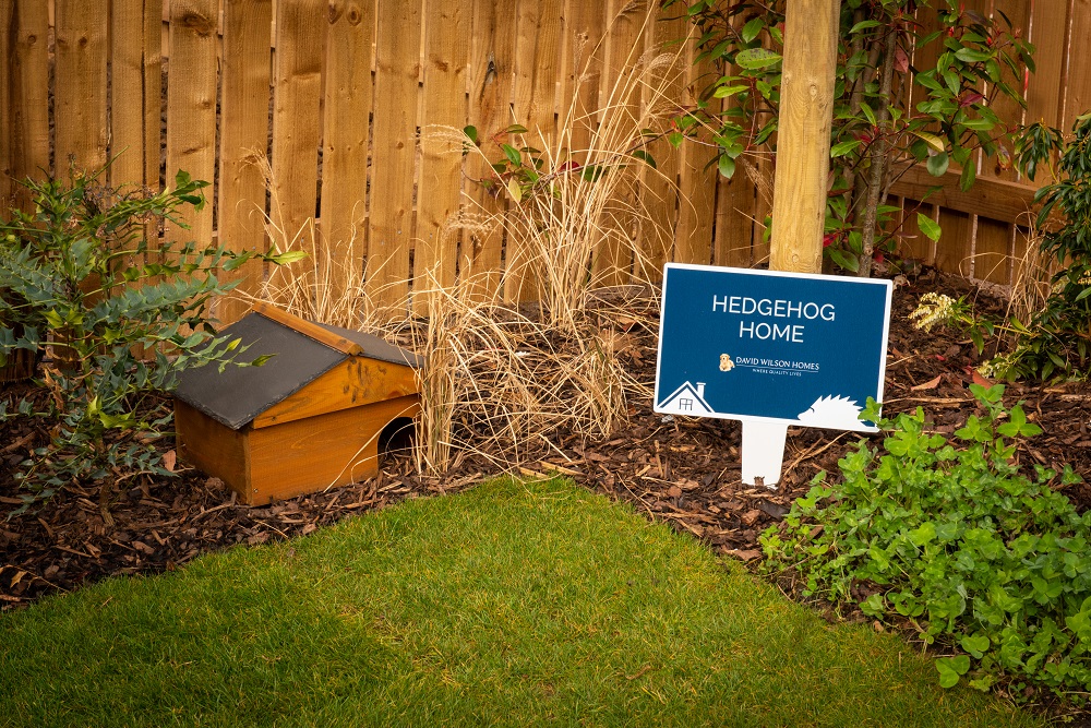 Hedgehog home in wildlife friendly garden