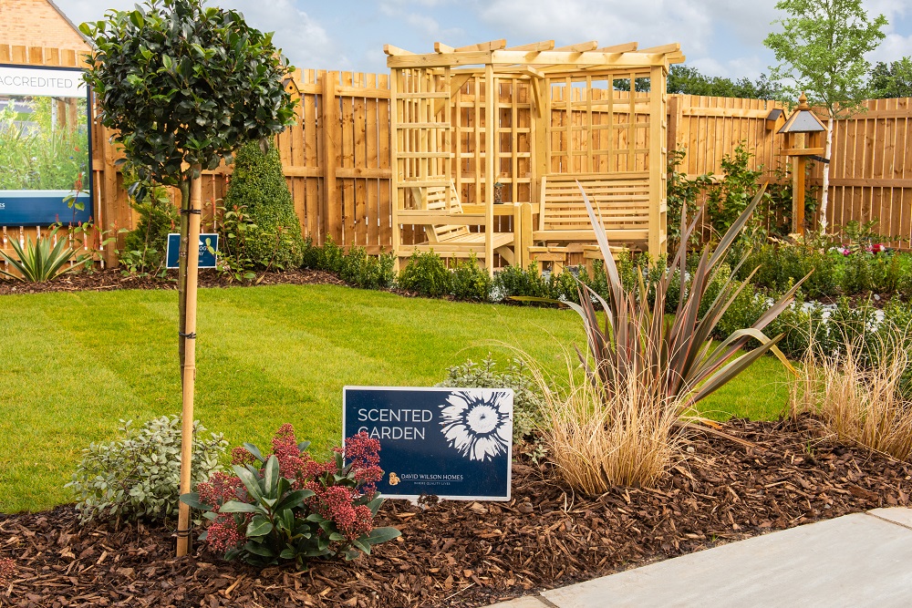 Wildlife friendly scented garden