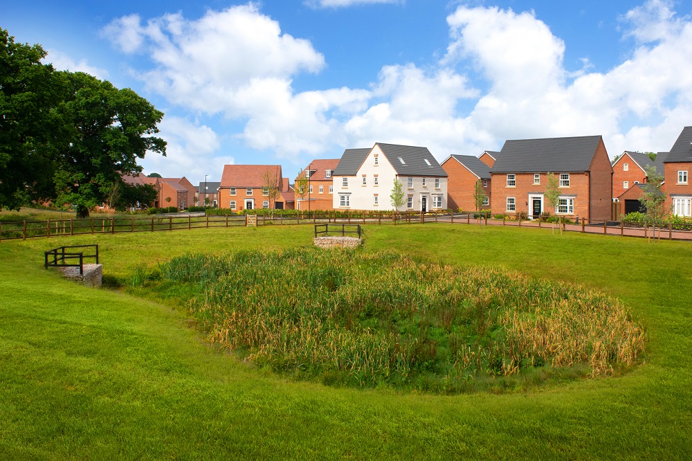 David Wilson homes surrounded by green open space