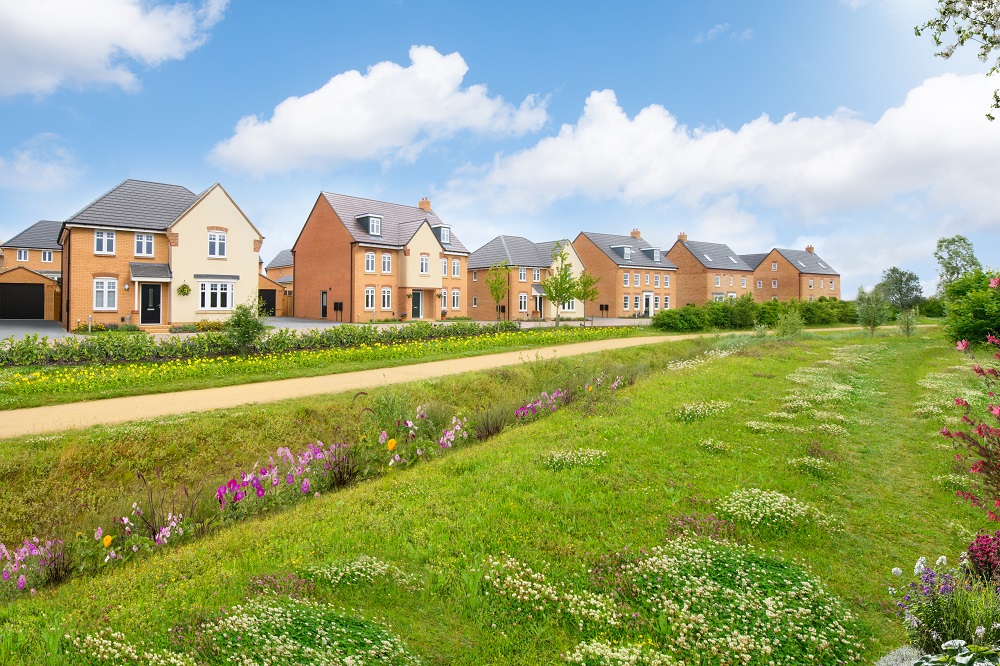 Row of David Wilson homes looking out over green open space