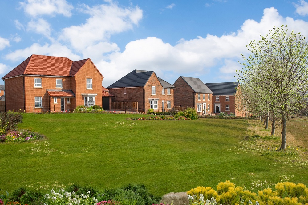 David Wilson homes looking out over green open space