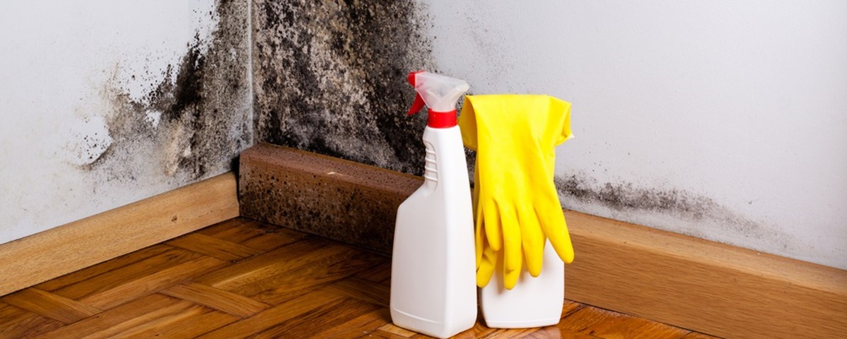 How to prevent damp 