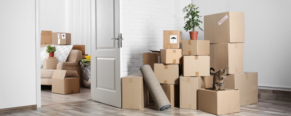 Understanding which mortgage type might be best for you