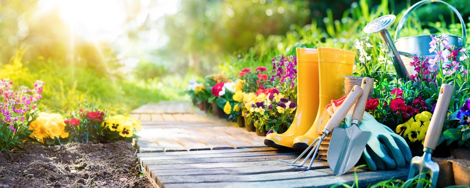 How to plant a flowerbed with expert Ellen Mary Gardening