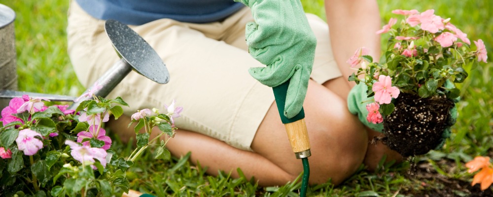 A Guide to Planting for Each Garden Aspect