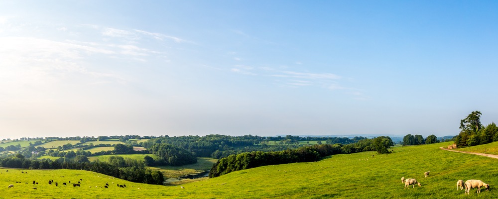 The best walks in Somerset