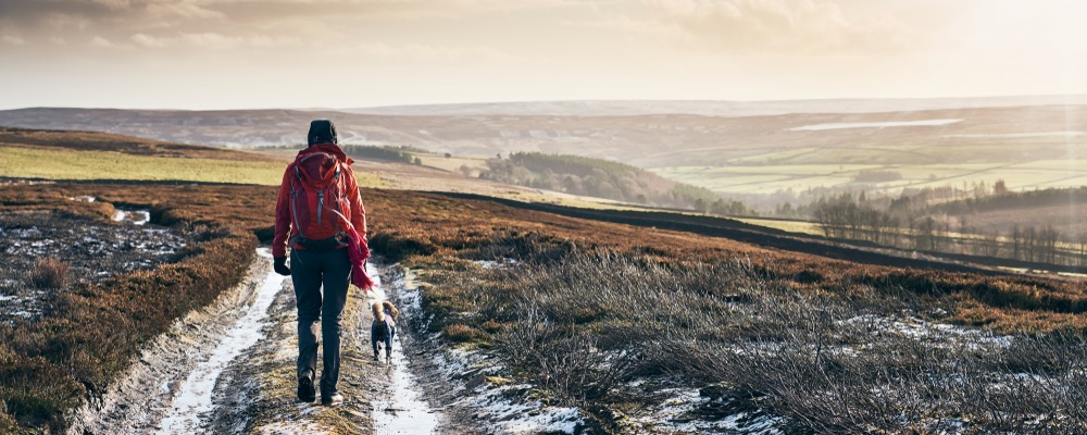 Walking Routes in the North East