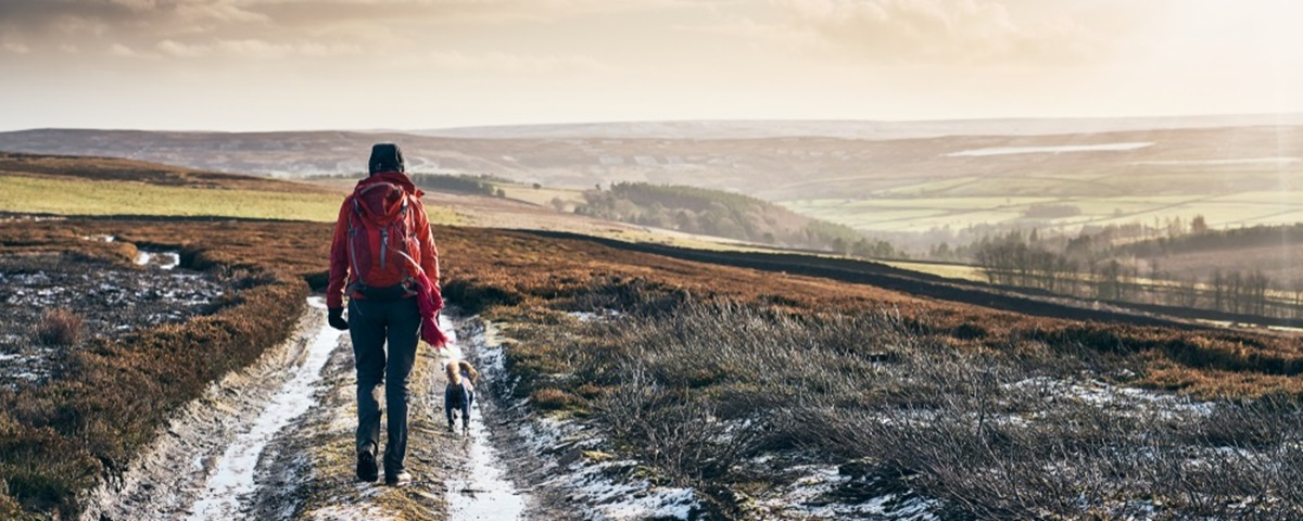 Walking Routes in the North East