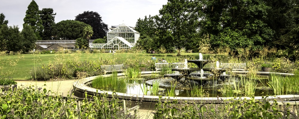 Cambridge University Botanical Gardens