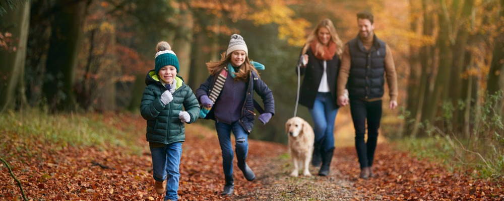 Our favourite walks in Gloucestershire