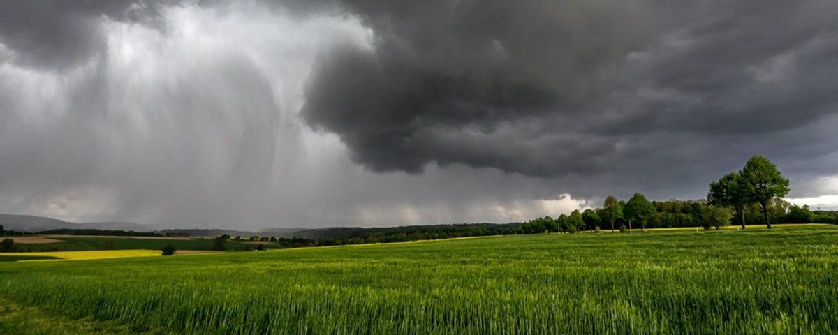 Prepare for a Storm