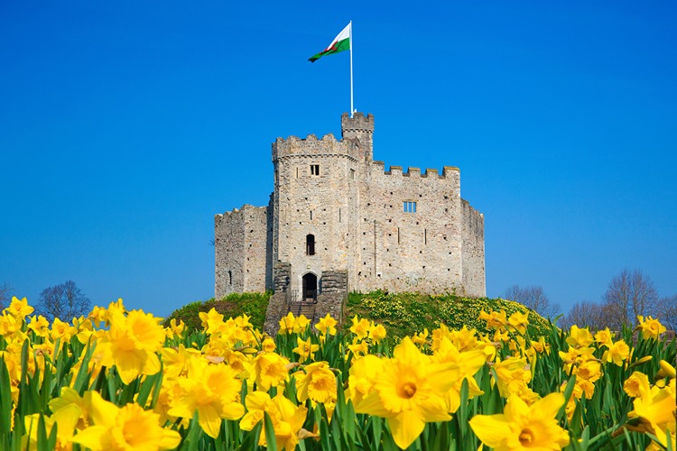 Cardiff Castle