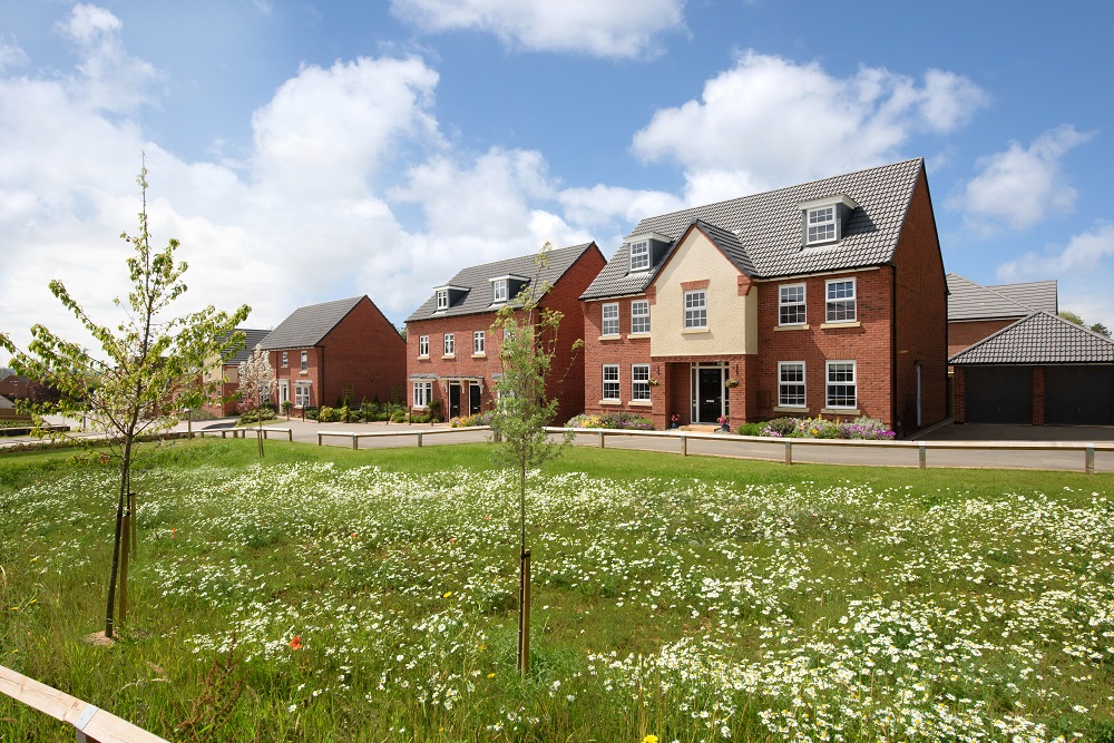 David Wilson Street Scene